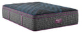 Plush Pillowtop 16" Mattress